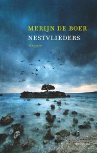 Nestvlieders - Merijn de Boer - ebook