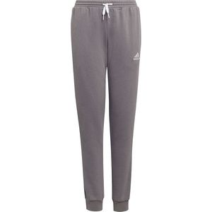 adidas Entrada 22 Sweat Pant Kids - Opruiming - Kleding - Grey - maat 140