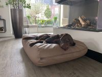 Dog's Companion® Hondenbed taupe leather look large