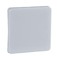 Schneider Electric 213604 accessoire elektrische schakelaar Sleutel