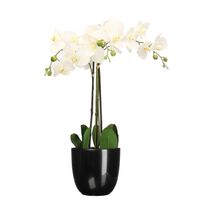 Orchidee kunstplant wit - 75 cm - inclusief bloempot zwart glans