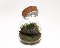 Terrarium vaas met LED - 15 cm diameter