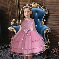 Kinderen Voor meisjes Jurk Feestjurk Effen Kleur Ruitjes Mouwloos Korte mouw Prestatie Verjaardag Pailletten Prinses Mooi Polyester Netstof Midi Feestjurk Tule-jurk Zomer Lente Herfst 2-9 jaar Lightinthebox