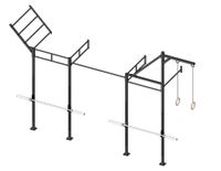 PTessentials Wall Mount Crossfit Rig V13-4