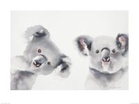 Koala's Art Print Aimee Del Valle 60x80cm