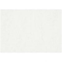 TOM aquarelpapier 100 stuks A2 200 gr