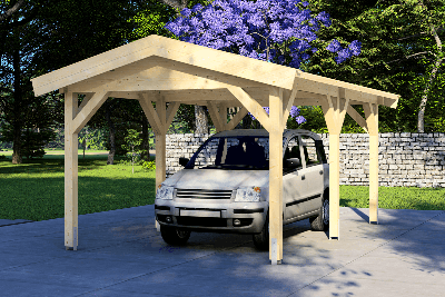 Carport 300x500 cm zadeldak- Zadeldak- - Van Kooten - Van Kooten