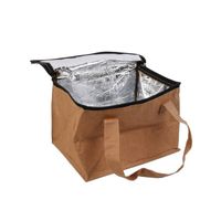 Mini Koeltas - Duurzaam - Ecologisch - Milieuvriendelijk - Lunch - Take Away - Opvouwbaar