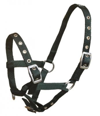 S2G halster Standard Veulen verstelbaar nylon donkergroen S2G halster Standard Veulen verstelbaar nylon donkergroen