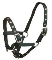 S2G halster Standard Veulen verstelbaar nylon donkergroen