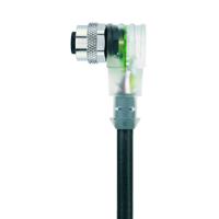 Escha 8045911 Sensor/actuator connector, geassembleerd M12 Aantal polen: 4 Bus, haaks 2.00 m 1 stuk(s) - thumbnail