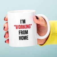 Mok "Working" From Home - thumbnail