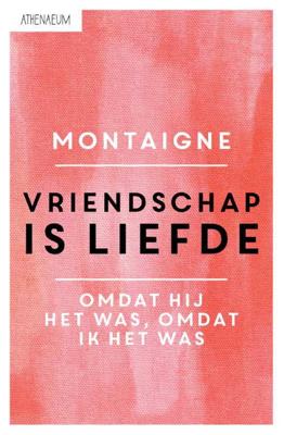 Vriendschap is liefde - Michel de Montaigne - Paperback (9789025300715)
