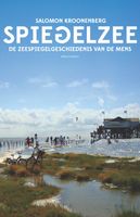 Spiegelzee - Salomon Kroonenberg - ebook - thumbnail