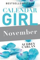 November - Audrey Carlan - ebook