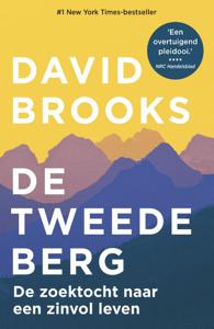 De tweede berg (Paperback)