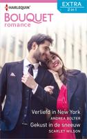 Verliefd in New York ; Gekust in de sneeuw - Andrea Bolter, Scarlet Wilson - eBook (9789402538557)