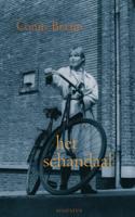Het schandaal - Conny Braam - eBook (9789045702254)