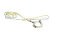 Beeztees Jicca - Puppy Set - Geel