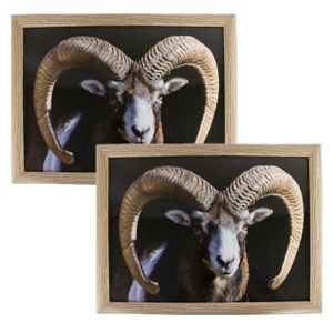 2x stuks schootkussens/laptrays ram/schaap print 33 x 43 cm