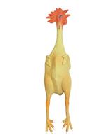 Kerbl Pet 83479 latex kip, kleurrijk