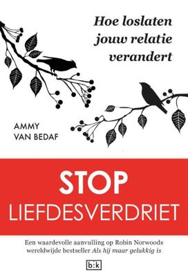Stop liefdesverdriet - Ammy van Bedaf - eBook (9789491472770) Stop liefdesverdriet - Ammy van Bedaf - eBook (9789491472770)