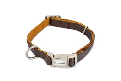 Beeztees 745002 Bruin Kunstleer, Nylon Hond Standaard halsband Beeztees 745002 Bruin Kunstleer, Nylon Hond Standaard halsband