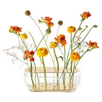 Fritz Hansen Ikebana Vaas - Long