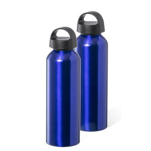 Waterfles / drinkfles / sportfles - 2x - metallic blauw - aluminium - 800 ml - schroefdop