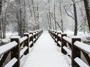 Tuinposter Winter Brug 3