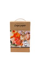 Hobbyset CrÃƒÆ'Ã‚Âªpepapier Anjers Creotime Startersset bloemen