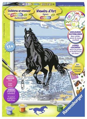 Schilderen Op Nummer - Paard In De Branding - Speelgoed (4005556286331) Schilderen Op Nummer - Paard In De Branding - Speelgoed (4005556286331)