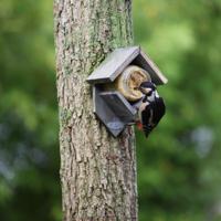 Esschert houten pindakaashuisje - grijs - Old Look - vogelvoederhuisje