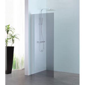 Royal Plaza Parri walk-in 100x200cm zilver profiel en grijs glas met clean coating 23783