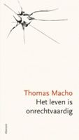 Het leven is onrechtvaardig - Thomas Macho - ebook - thumbnail