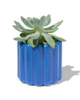 HEMA Bloempot XS Keramiek Ribbel Blauw (kobaltblauw)