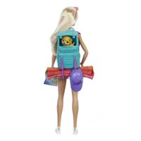 Barbie Dreamhouse Adventures Pop en Accessoires - thumbnail