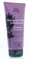 Tune in soothing lavender conditioner