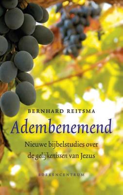 Adembenemend - Bernhard Reitsma - eBook (9789023929277)